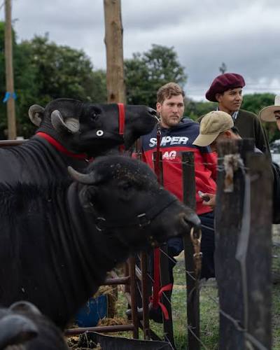 🐃 ¡Del NEA al mundo! Participamos del 1° Congreso Internacional Bubalino y la 1° Expo Búfalos del Iberá 2026, en Ituzaingó, Corrientes, un espacio de encuentro e intercambio con especialistas y produ