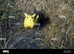 ILLUSTRATION - The Pokémon character Pikachu in front of a mouse-hole in a  meadow. Taken 02.09.2016. Pokémon are fantasy creatures in the video game  series of the same name. The games were