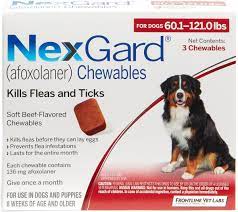 best flea and tick treatments for dogs