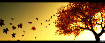 Image result for autumn wind images