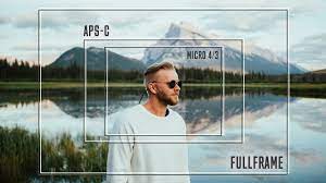 full frame vs aps c vs micro 4 3 you