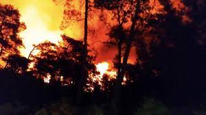 Marmaris'te orman yangını!
