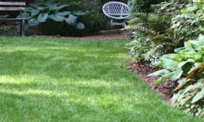 We provide a complimentary soil analysis twice a year for existing customers. Centipedegrass Yearly Maintenance Program Home Garden Information Center