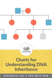 Charts For Understanding Dna Inheritance Family Locket