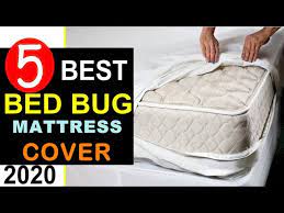 top 5 best bed bug mattress cover