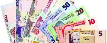 Image result for nigeria currency