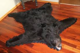 black bear rug c d international