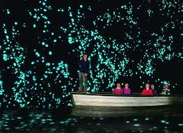 Hasil gambar untuk Waitomo Glow Worm Cave di Selandia Baru