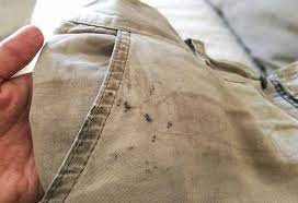 remove oil stains from clothes