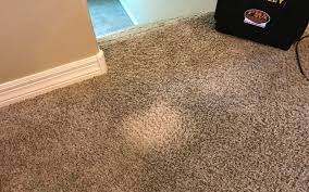 Clean Up After A Bleach Spill On Carpet