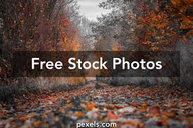 1000 Beautiful Hd Background Photos Pexels Free Stock Photos