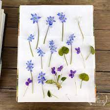 how to press flowers with books