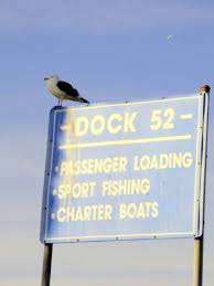 let s visit dock 52 in marina del rey