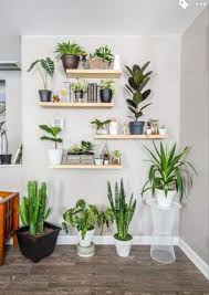 Indoor Plant Wall House Plants Decor