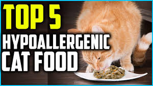 best hypoallergenic cat food of 2023