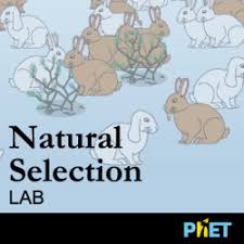 Let's talk about that natural selection lab. Natural Selection Science Games Legends Of Learning