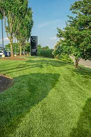To win your next commercial lawn care contract, you will need a good deal of salesmanship. Commercial Lawn Care Virginia Green