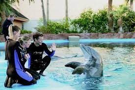 secret garden and dolphin habitat s