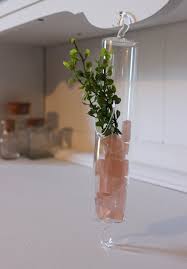 hanging glass vase hanging planter