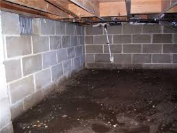 Mold can grow pretty quickly when it's in the right conditions, and a damp basement definitely fits that bill. Quality 1st Basement Systems Basement Waterproofing Photo Album Brick Crawl Space Encapsulated