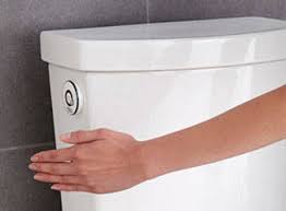 A power flush toilet is essential as it consumes less water in a single go. Activate Touchless Flush Technology American Standard