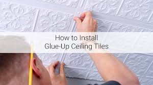 how to install glue up ceiling tiles