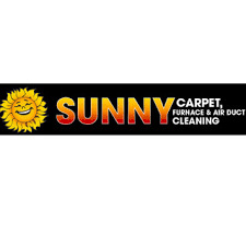 sunny carpet upholstery cleaning