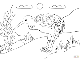 Kiwis are a fun delicious fuzzy green fruit. Kiwi Bird Coloring Page Free Printable Coloring Pages Bird Coloring Pages Free Printable Coloring Pages Coloring Pages