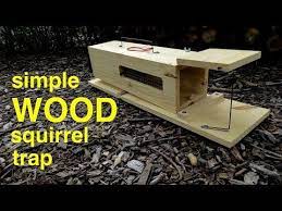 If you trap the mother, the young will eventually die inside your attic causing a moral dilemma and an unpleasant odor. How To Make Tricky Traps Mrgear Youtube Mouse Trap Diy Teeter Totter Rat Traps