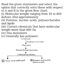 Read The Given Statements And Select The Option That Correctly Sorts These With Respect To A And B In The Given Flow Chart I Molecular Weight Ranging From 18 To 800 Daltons Da Approximately Ii