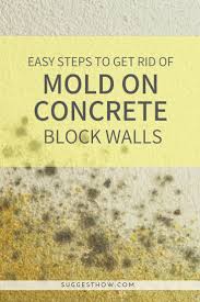 mold on concrete block walls
