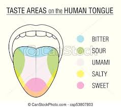 Taste Buds Colored Tongue Chart