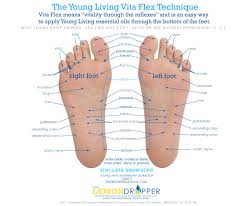 Vita Flex Fertility Points On The Ankles And Inner