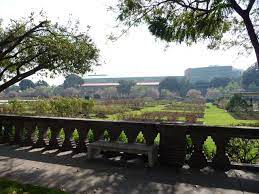 Exposition Park Rose Garden