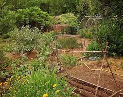what is permaculture gardening an