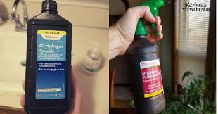 does hydrogen peroxide kill germs