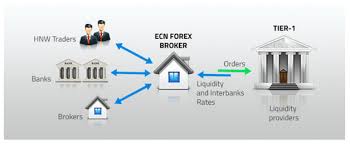 Comparison Of Forex Broker Types Ecn Stp And Market Maker