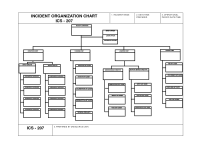 Ics Org Chart Fillable 3 Best Images Of Fema Ics