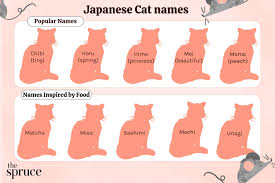 75 anese cat names
