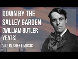 salley garden by william butler yeats