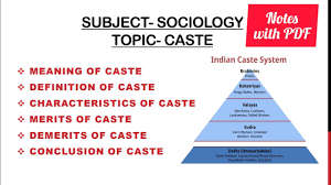 caste system meaning definition