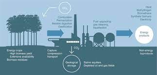 sustainable natural gas ion