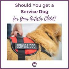 service dog for your autistic child