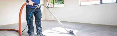 best carpet cleaning companies in auckland