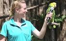 kaka 2 parrots talking voiceovers cartoon characters