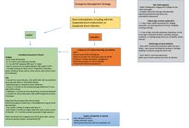 Flow Chart Diagram Depicting Emergency Management Plan For