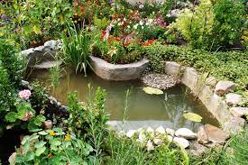 Planning A Pond In The Uk Artisan