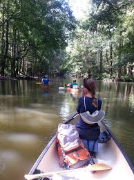 Apartment list will help you find a perfect apartment near you. Canoe Kayak Rentals Wildnative Tours