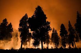 — a california fire that gutted hundreds of homes advanced toward lake tahoe on wednesday as thousands of firefighters tried to box in the flames and tourists who hoped to. 5bczv 14v2x8wm