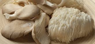 Dehydrated mushrooms can also be made into extracts. 7 Tips On How To Cook Lion S Mane Mushroom Umm